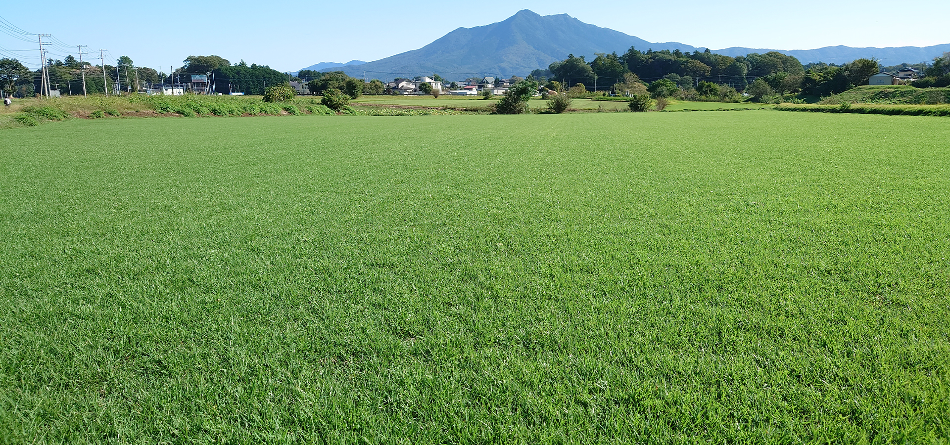スズキ造園土木株式会社