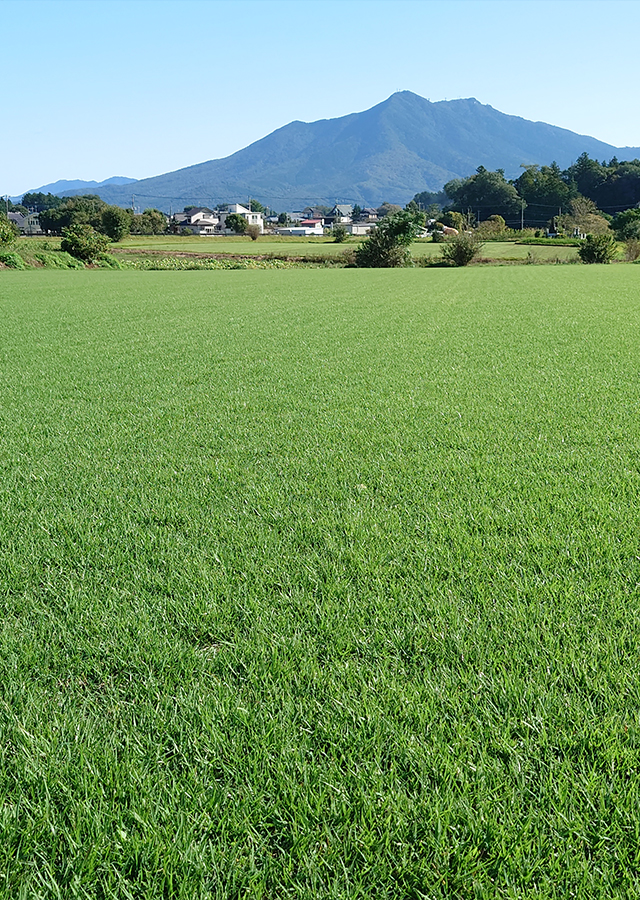スズキ造園土木株式会社