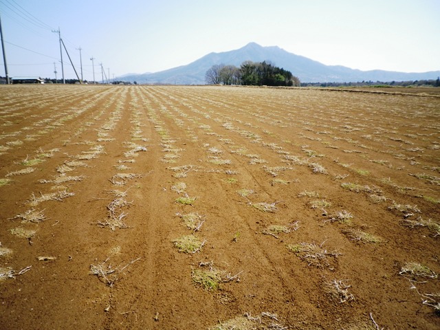 作業風景